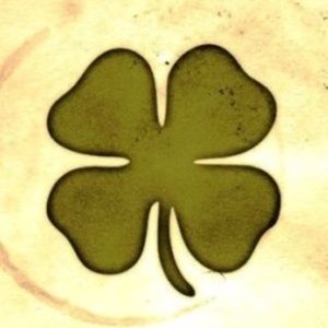 Meet your Posher, George